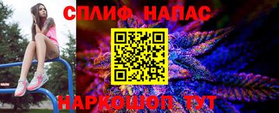 гидропоника Можга